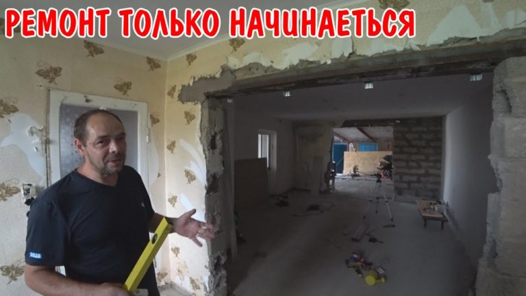 Виталик и Ангелина: решили проблемы с полицией / приехали к будни Натальи и Александра / обзор шаурмы / влог с деревни