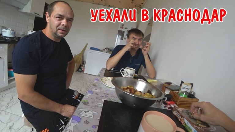 Виталик и Ангелина: установил унитаз в туалете / установил полочку для посуды на кухне / уехали в Краснодар / покупки