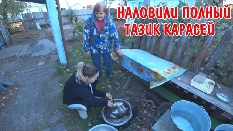 Виталик и Ангелина: АНГЕЛИНА НАЛОВИЛА КАРАСЕЙ / МЫ НА РЫБАЛКЕ / Я ПОЙМАЛ ЩУКУ НА БЛЕСНУ / РЫБАЛКА В ДЕРЕВНЕ / ВЛОГ