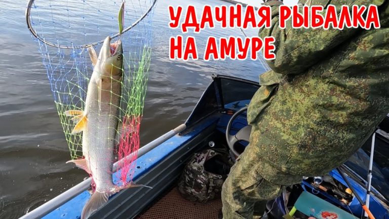 Виталик и Ангелина: РЫБАЛКА НА АМУРЕ / ПОЙМАЛИ ЖЕЛТОЩЁКА (НЕЛЬМА) / ВЕРХОГЛЯД / ЩУКА / ЗА РЫБОЙ НА МОТОРНОЙ ЛОДКЕ / ВЛОГ