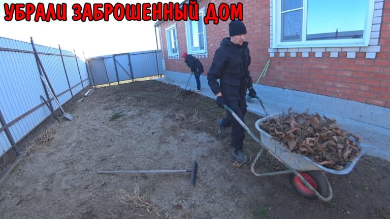 Виталик и Ангелина: УБРАЛИ ЗАБРОШЕННЫЙ ДОМ / УСТАНОВИЛ РОЗЕТКУ И ВЫКЛЮЧАТЕЛЬ / ЗАКАЗАЛ ОТСЕВ И ПЕСОК / УБОРКА ВО ДВОРЕ