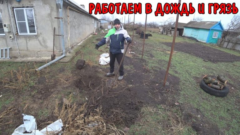 Виталик и Ангелина: УСТАНАВЛИВАЮ ПЛИНТУС / РЕДКИЕ КАДРЫ С АРМИИ КАК Я СЛУЖИЛ / НАКУПИЛ ПРОДУКТОВ / САНЯ РАБОТАЕТ В ДОЖДЬ