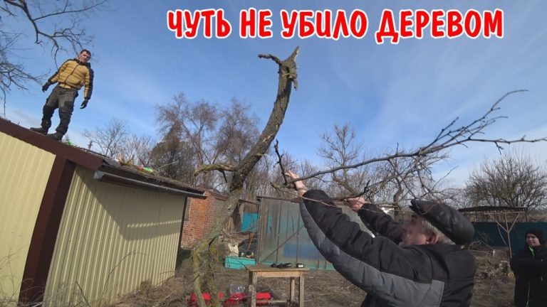 Виталик и Ангелина: СРОЧНАЯ НОВОСТЬ / ВОССТАНАВЛИВАЮ СГОРЕВШИЙ ДОМ / ДЕРЕВО УПАЛО НЕ ТУДА КУДА НАДО / ПРИЕХАЛИ ДРУЗЬЯ
