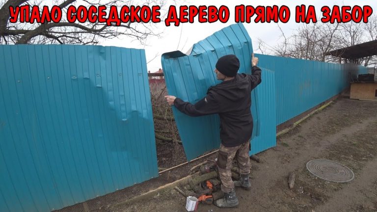 Виталик и Ангелина: УПАЛО ДЕРЕВО НА ЗАБОР / РЕМОНТ ЗАБОРА / ПОМЫЛ ПОЛ / ПРИКРУТИЛ ПРОФЛИСТ / ПОМЫЛ БАССЕЙН И НАБРАЛ ВОДЫ