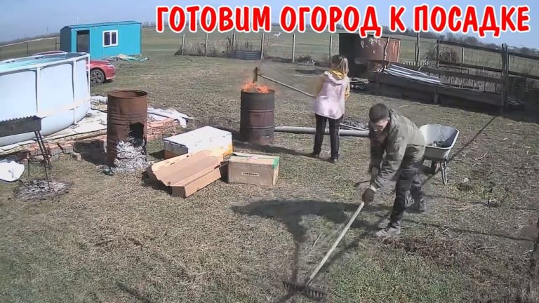 Виталик и Ангелина: ГОТОВИМ ОГОРОД / УБРАЛИ ВСЮ ТРАВУ / СОБРАЛИ КАМНИ И КИРПИЧИ / СОЖГЛИ МУСОР И ТРАВУ / ОТКРЫЛ ВИНОГРАД