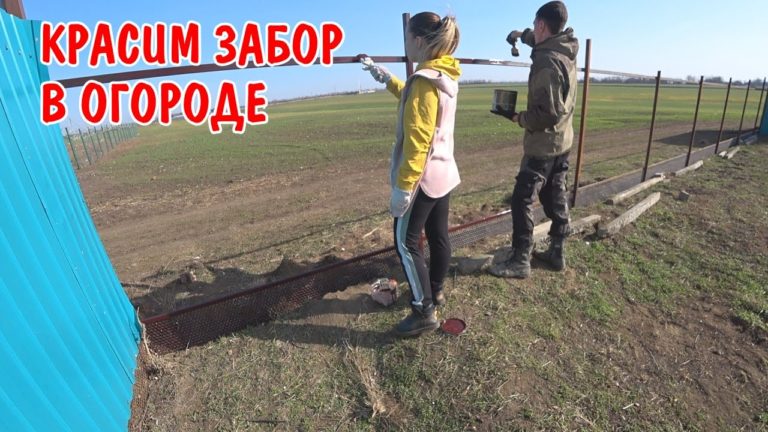 Виталик и Ангелина: ПРИВАРИЛ ПРОСЕЧКУ / ВИТАЛИКУ СТАЛО ПЛОХО / ПОКРАСИЛИ ЗАБОР / ДЕЛАЮ ЗАБОР СВОИМИ РУКАМИ / ВЛОГ